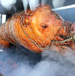 Cochon entier